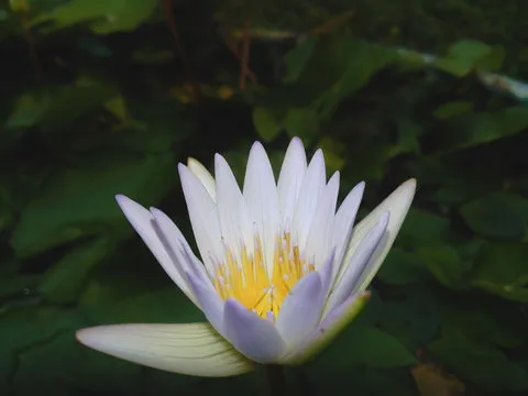 和值走势示意图